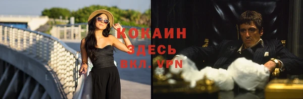 гашик Алзамай