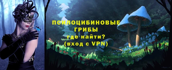 спиды Абаза