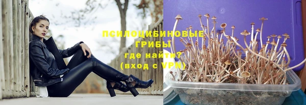 ECSTASY Алексин