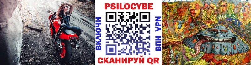 Псилоцибиновые грибы GOLDEN TEACHER  наркота  Судогда 
