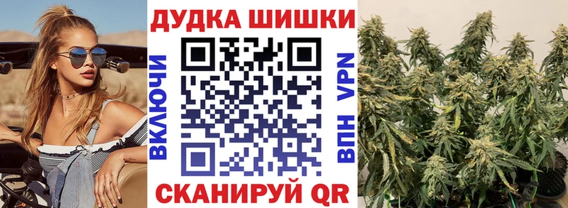 МАРИХУАНА White Widow купить сайты Судогда
